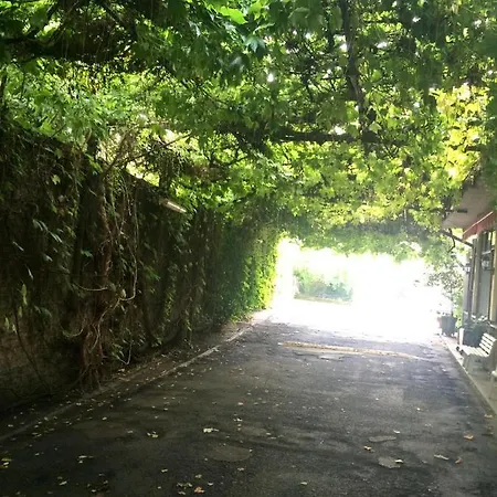 Ristorante Tassi Bondeno